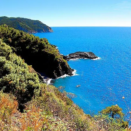 Cinqueterre National Park With Super Sea View *