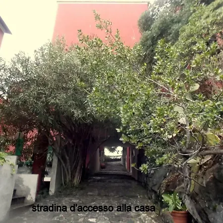 Apartment Cinqueterre National Park With Super Sea View