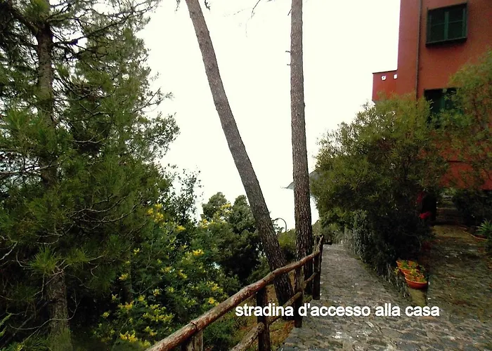 Cinqueterre National Park With Super Sea View *